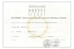 Diplôme d'État A.M.M.