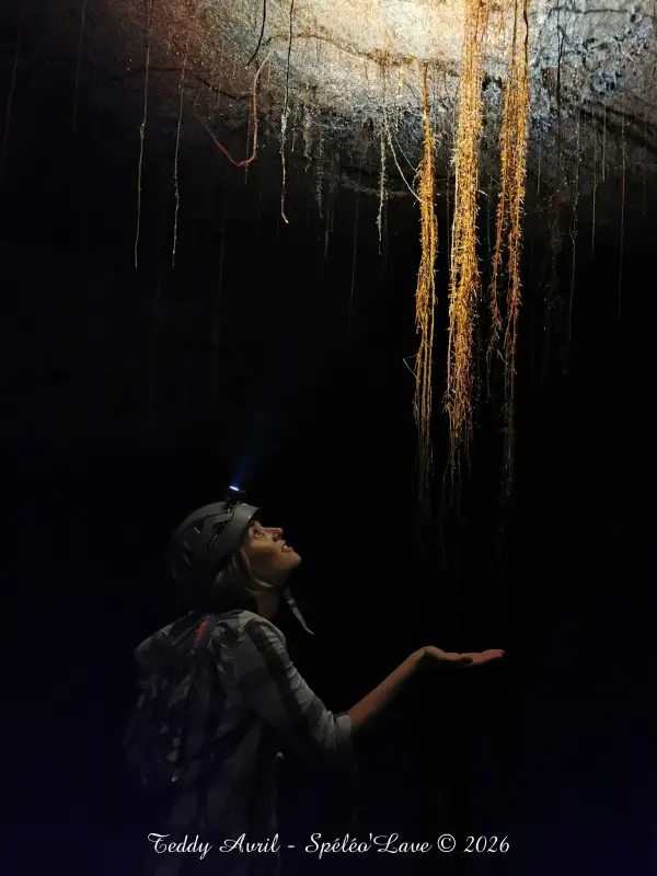 Galerie large et lumineuse à l'intérieur d'un tunnel de lave, parois sombres modelées par la coulée figée.